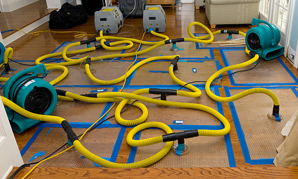 Professional Water Extraction technician working in Cleveland, ND